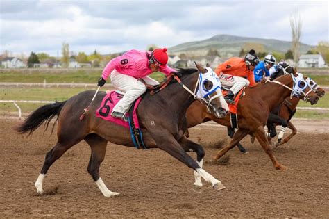 pocatello downs sportsbook|Pocatello Sports Betting 2024 .
